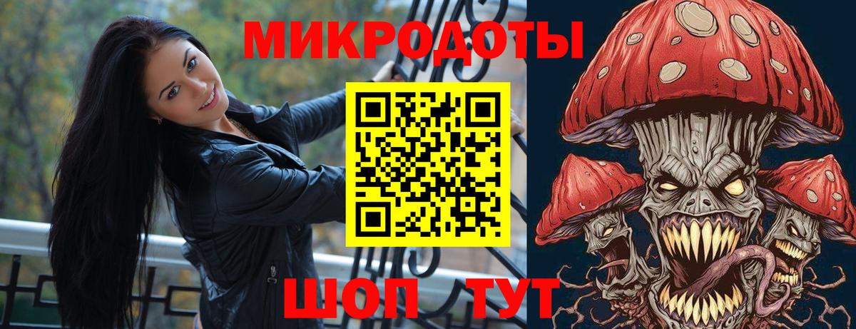 Псилоцибиновые грибы мицелий Заволжье